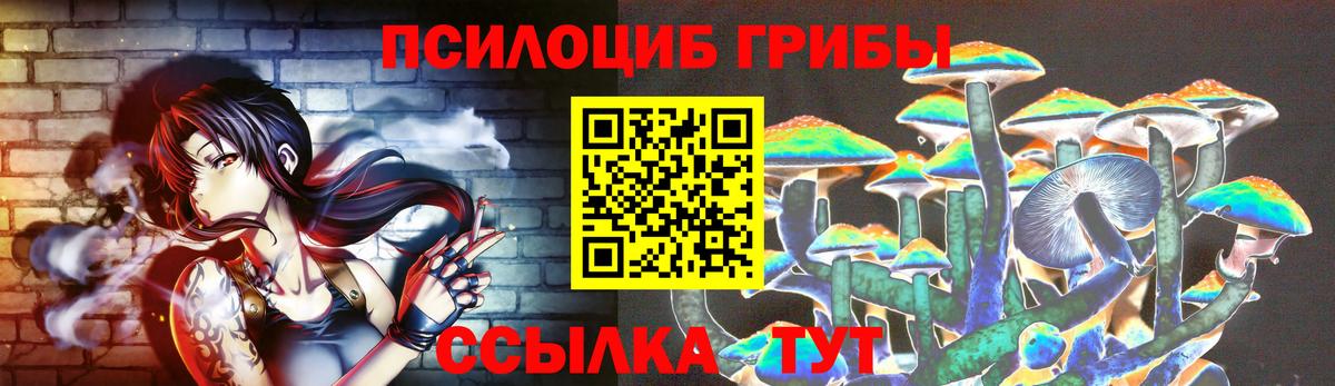 Канск  Галлюциногенные грибы мицелий  Вход с VPN  Псилоцибиновые грибы Psilocybe 